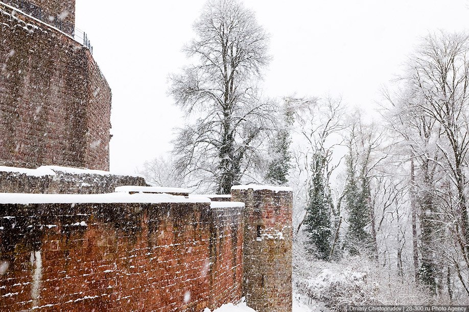 В поисках замков в Пфальцском лесу: снежный репортаж