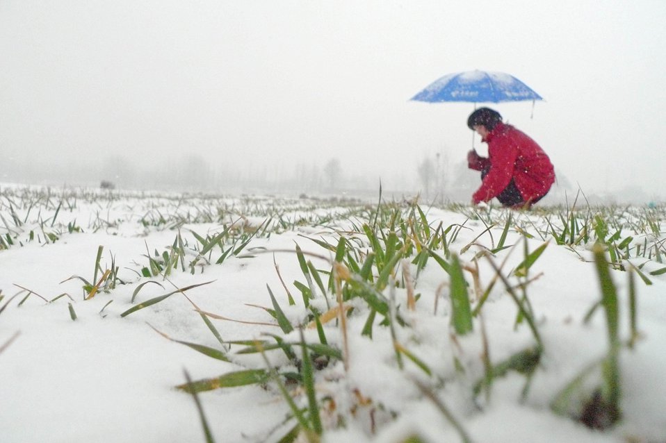 В провинции Шаньдун, Китай прошел сильный снегопад
