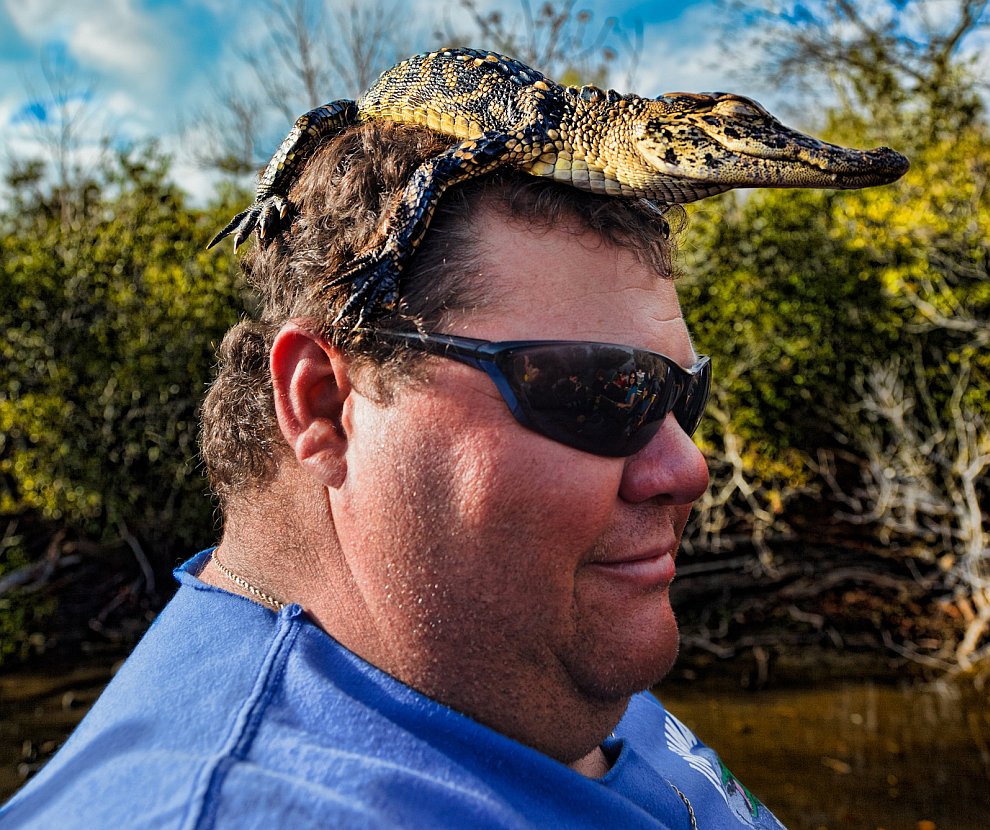 Лодочник из Луизианы со своим домашним животным — аллигатором