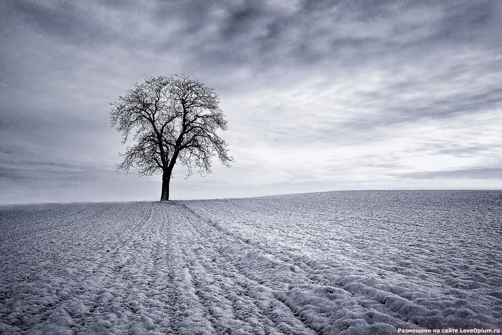 Впереди долгая зима