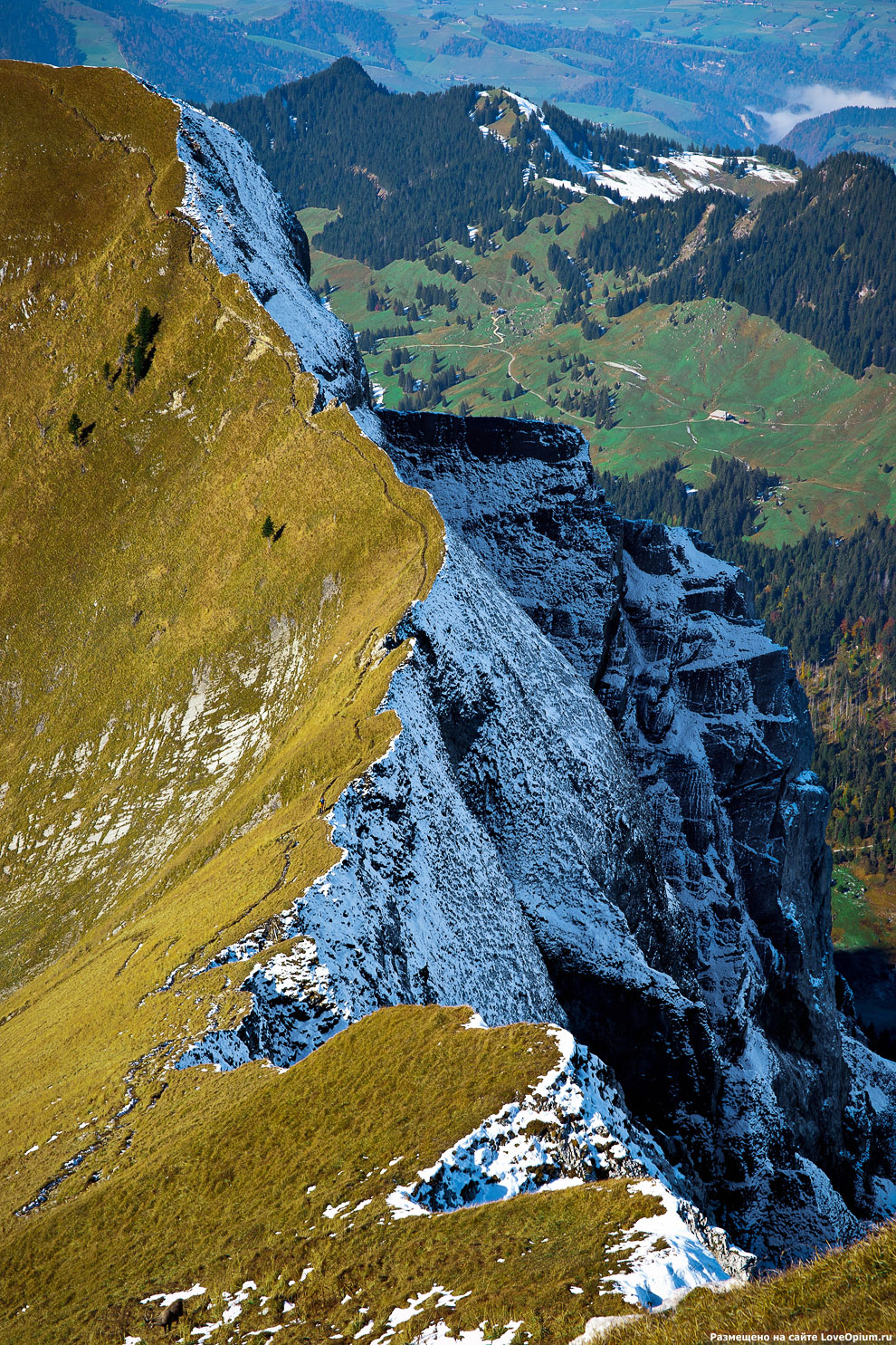 На краю пропасти