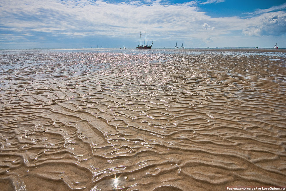 Природные текстуры