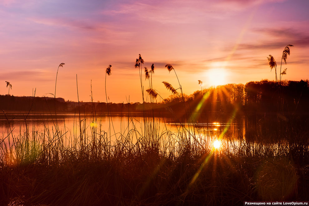 Двойное солнце