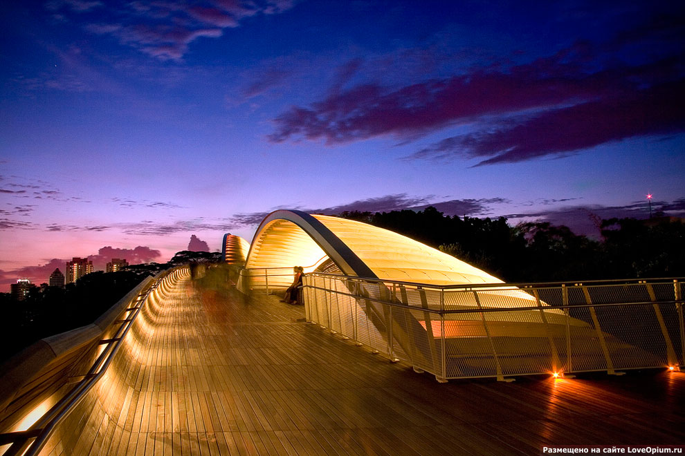 Henderson Waves