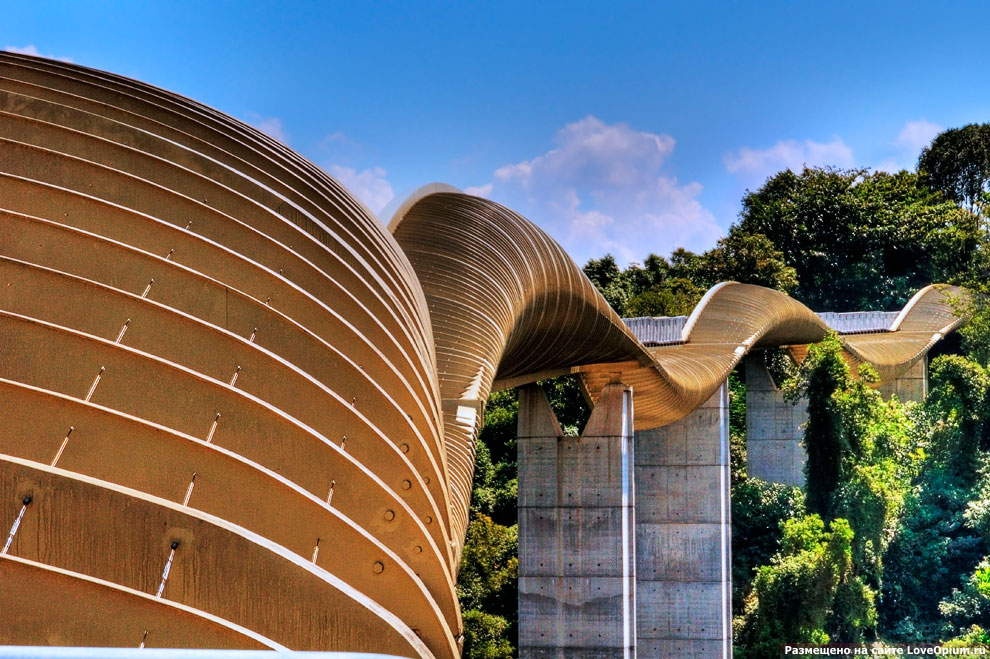 Henderson Waves