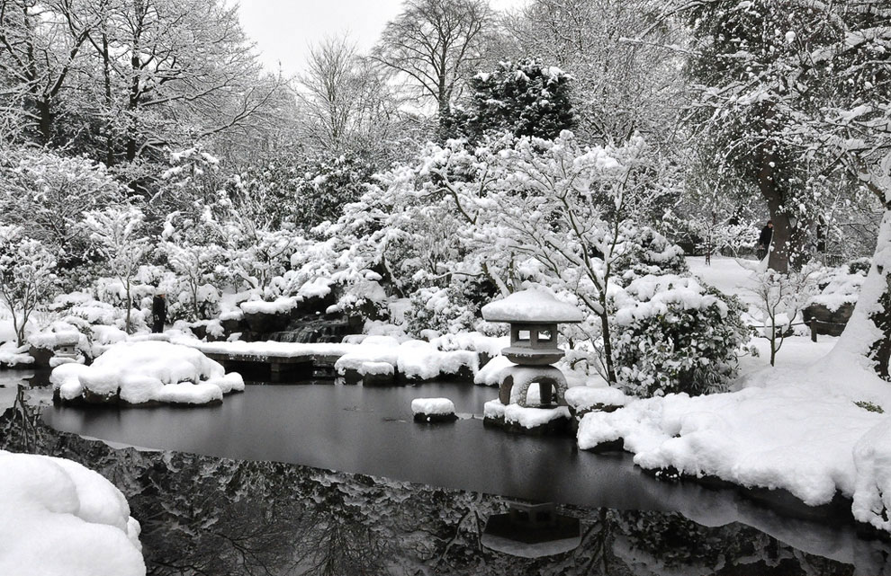 Kyoto garden (, 