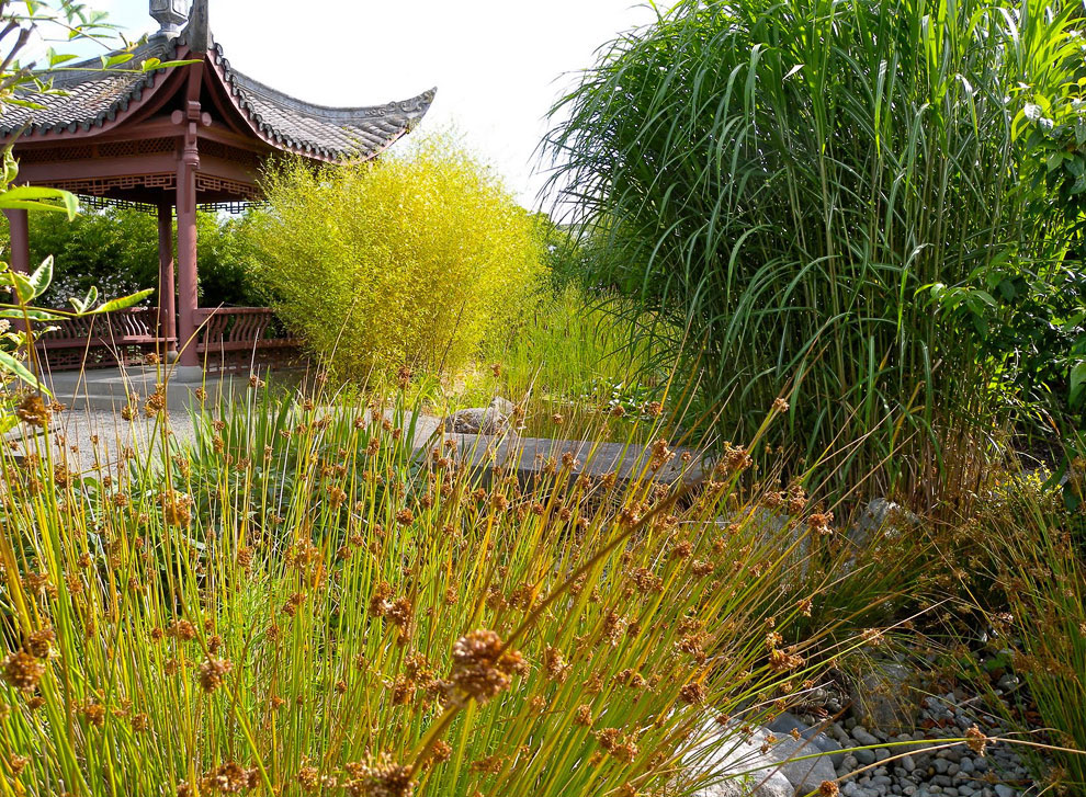 Китайский сад Сиэтла (США)