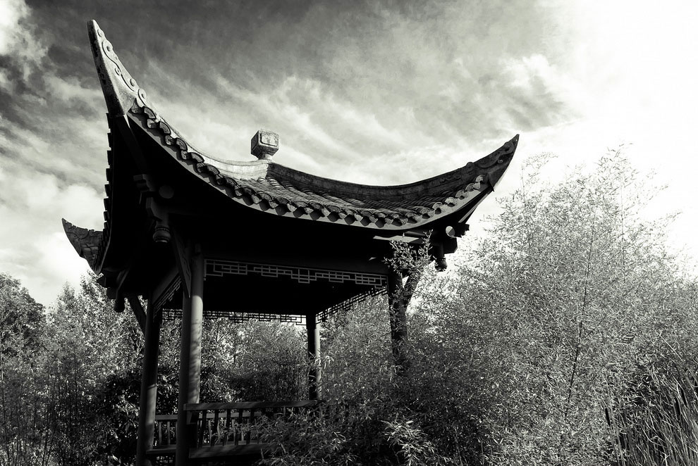 Китайский сад Сиэтла (США)