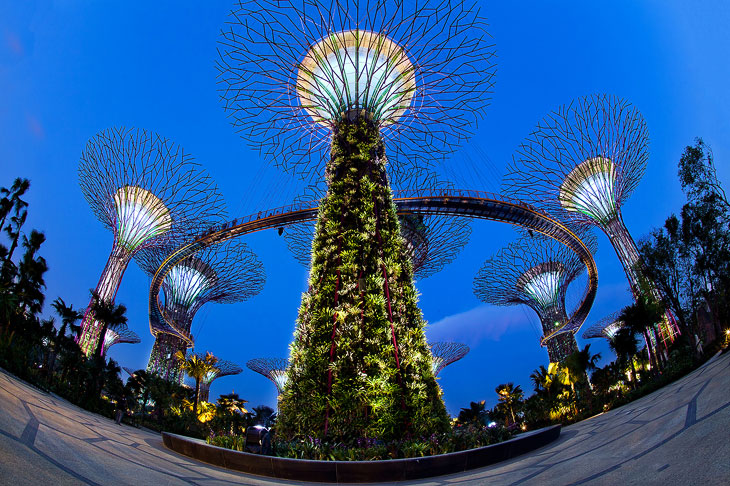 Gardens by the Bay:     