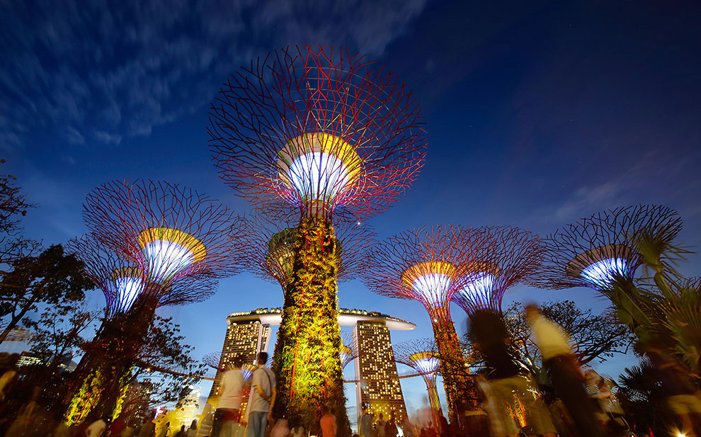Gardens by the Bay:     Gardens by the Bay:     