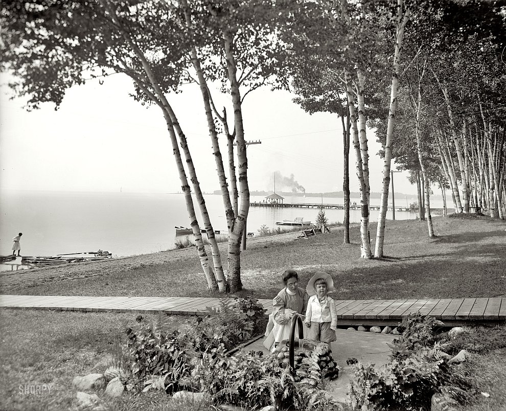 Березы и залив в штате Мичиган, 1906 год