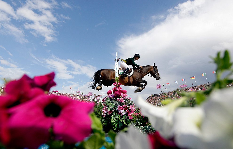 На фотографии соревнования по конному спорту