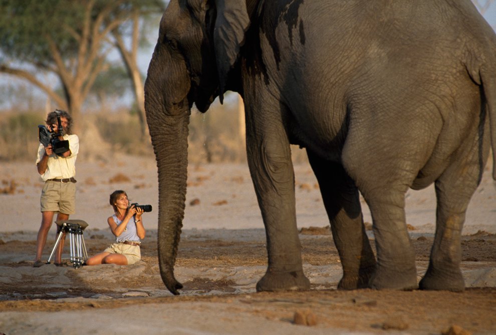 National Geographic снимает новый фильм о дикой природе в Ботсване