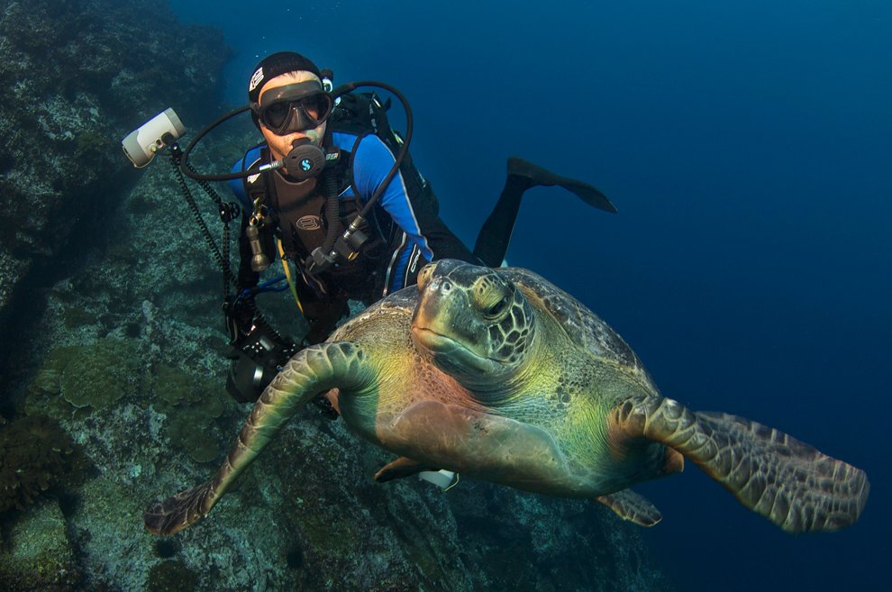 Биолог National Geographic и морская черепаха у острова Кокос, Коста-Рика