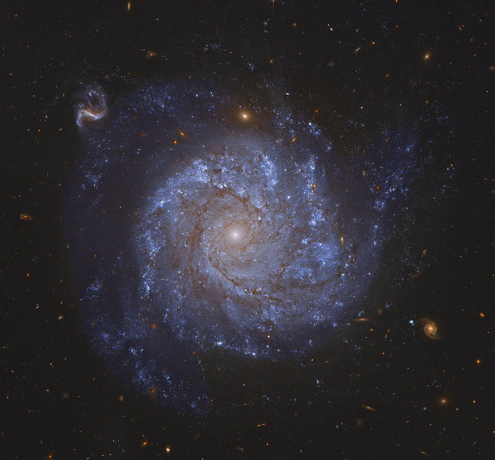   NGC 1309