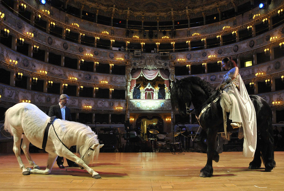 Оперный театр «Феникс» является одним из самых известных театров в Европе