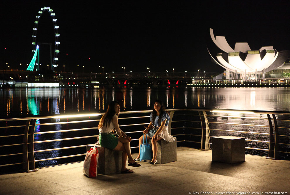 Вид на музей Art Science и сингапурское колесо обозрения Flyer