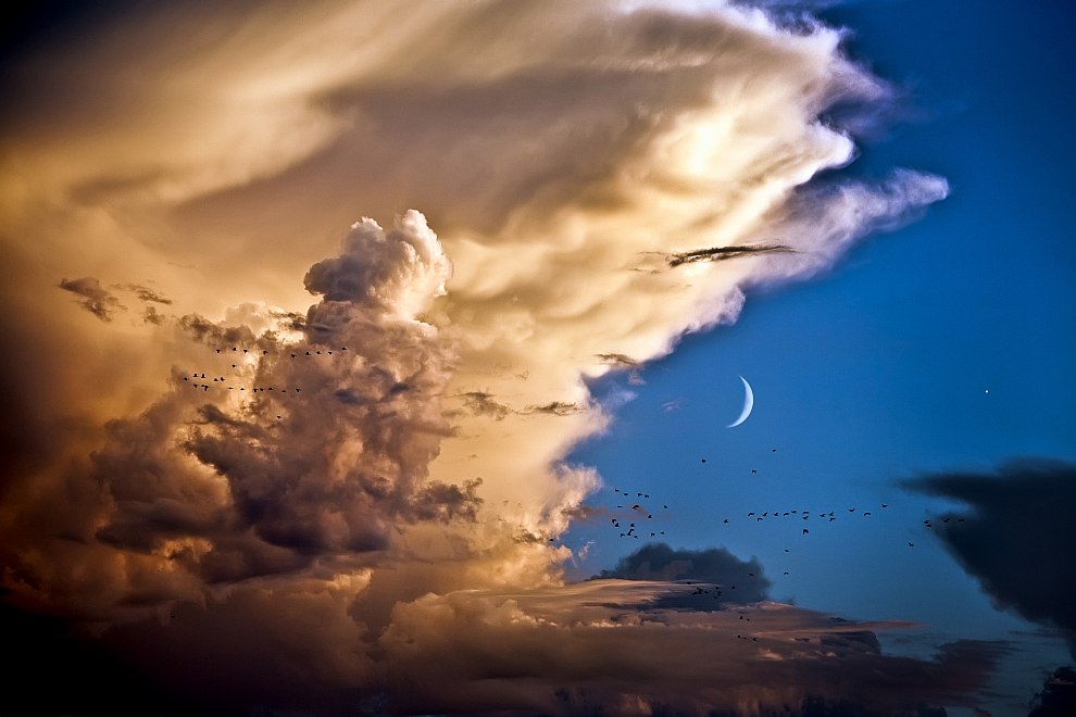 Луна, Венера, облака и птицы
