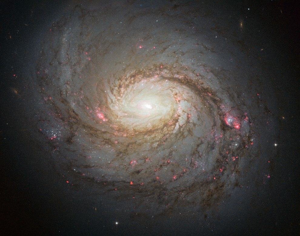 M 77 — галактика в созвездии Кит