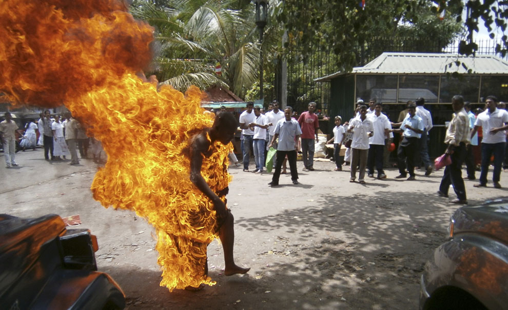 В Шри-Ланке буддистский монах поджег себя в знак протеста против забоя скота, а также протестуя против того, что некоторые буддисты переходят в другие веры