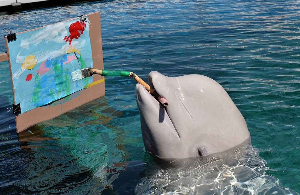 Белуха рисует замысловатую картину в аквариуме в Токио
