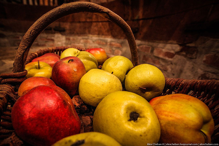 Время собирать яблоки... или как делают Кальвадос