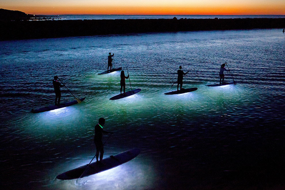Специально сделанные водонепроницаемые светодиодные фонари крепятся к основанию лодок и освещают воду, позволяя гребцам увидеть рыбу