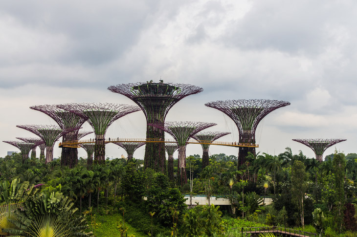 Сингапур: футуристические Сады в заливе