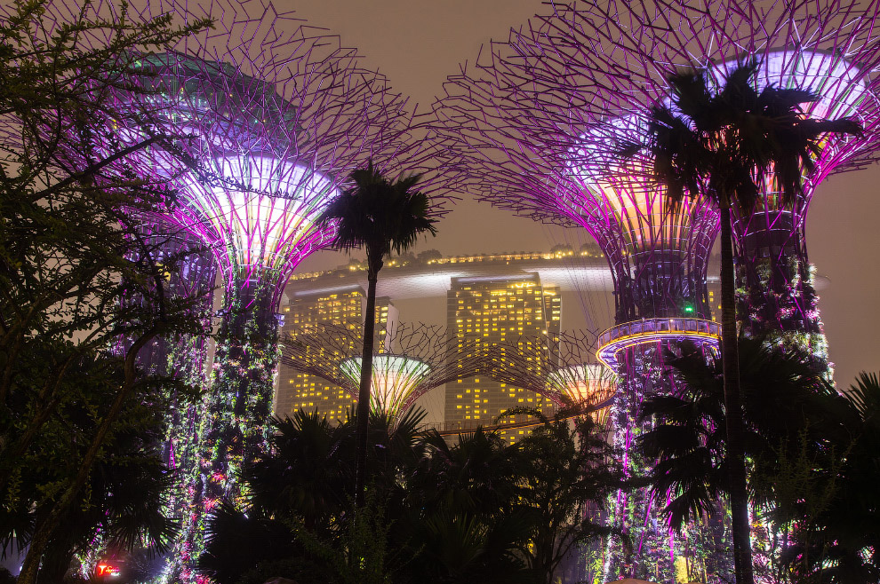 Сингапур. Футуристические Сады в заливе