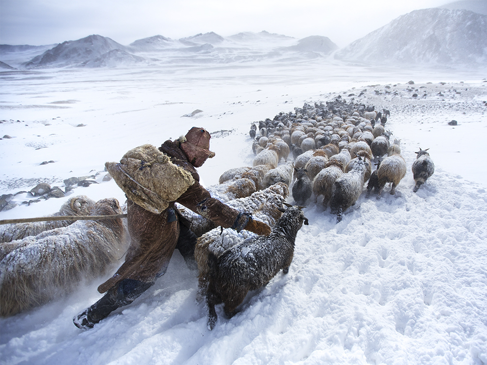 Кочевники в Монголии