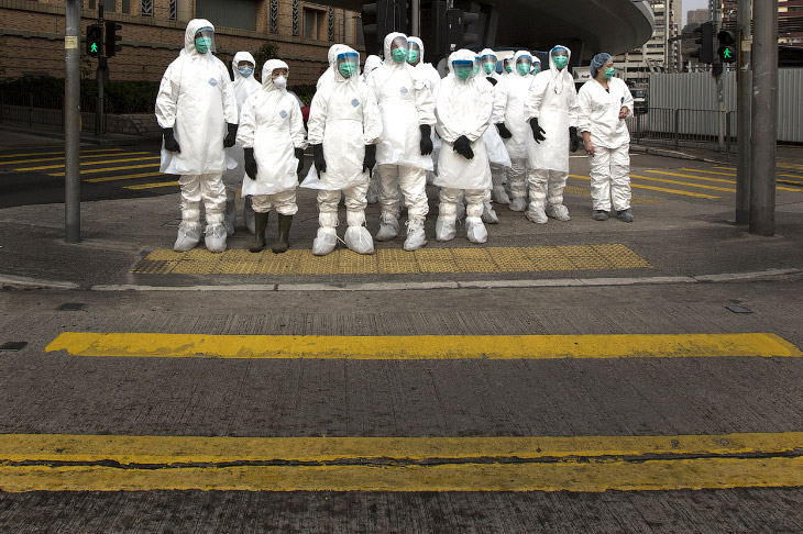 В Гонконге в партии кур из материкового Китая нашли вирус птичьего гриппа H7N9, медработники в защитных костюмах отправились с инспекцией на птичий рынок