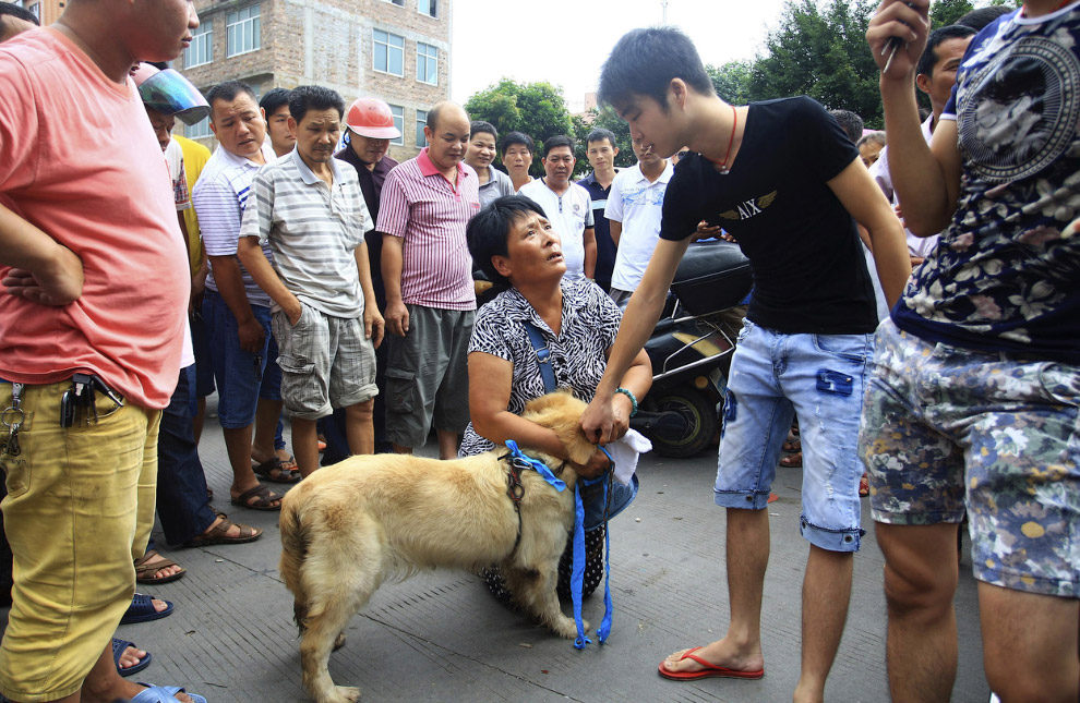 В Китае, в Юлине проходит ежегодный фестиваль собачьего мяса