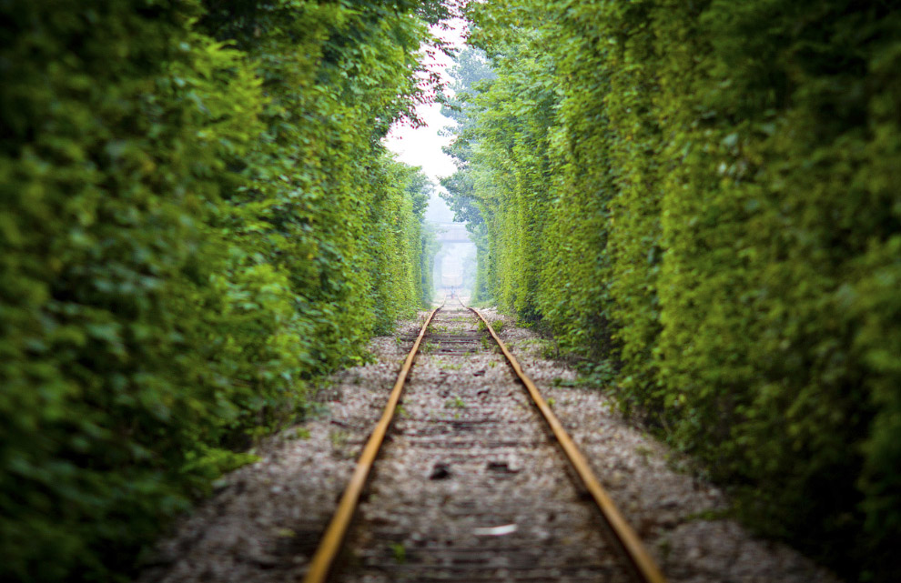 Романтический железнодорожный путь в провинции Цзянсу