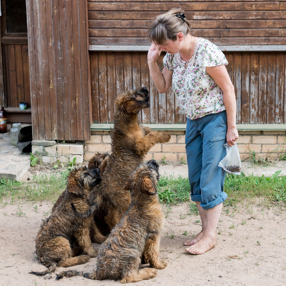 Центр спасения медведей в Тверской области - фото 8