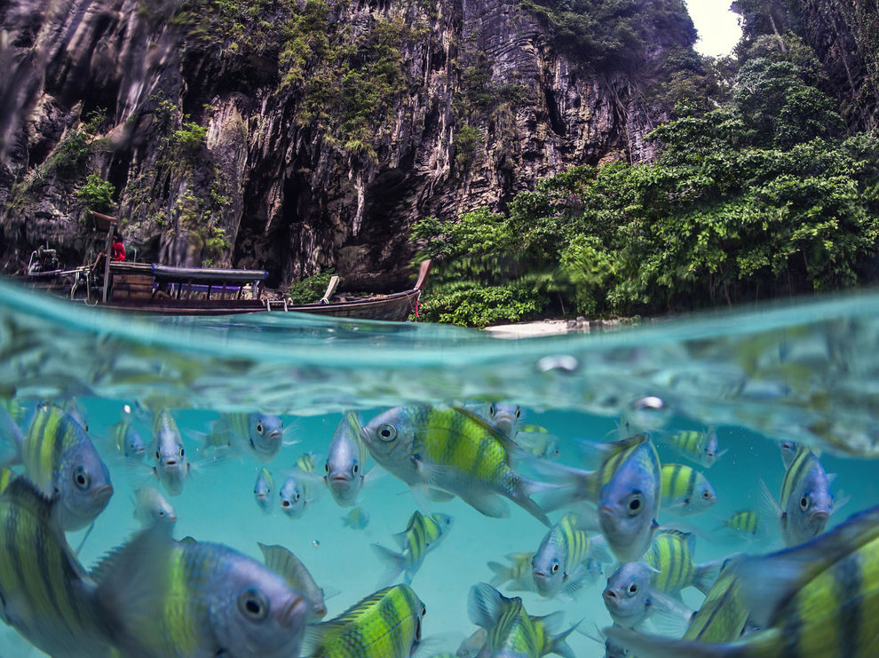 Подводная жизнь Таиланда