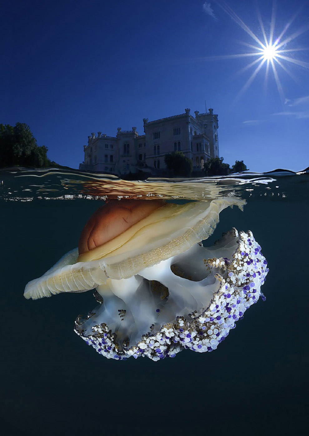 Медуза и замок