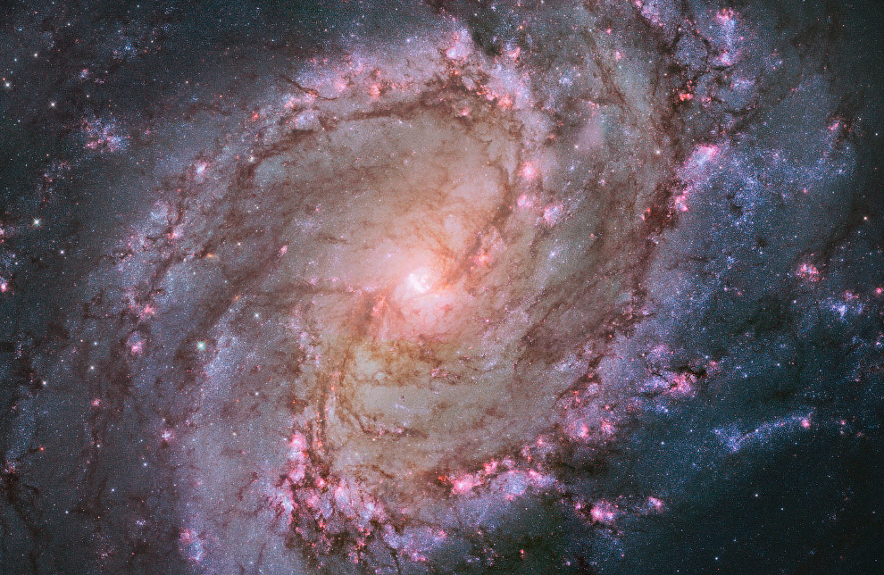 Спиральная галактика с перемычкой M83, также известная как Южная Вертушка