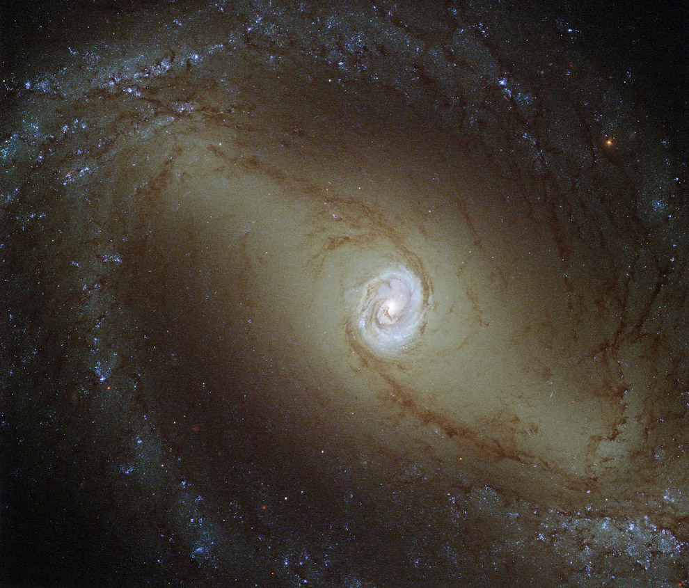 Спиральная галактика NGC 1433 с перемычкой в созвездии Часы
