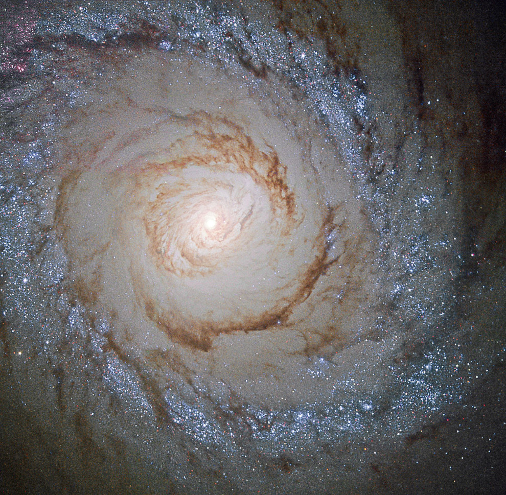 Спиральная галактика М94 в созвездии Гончих Псов