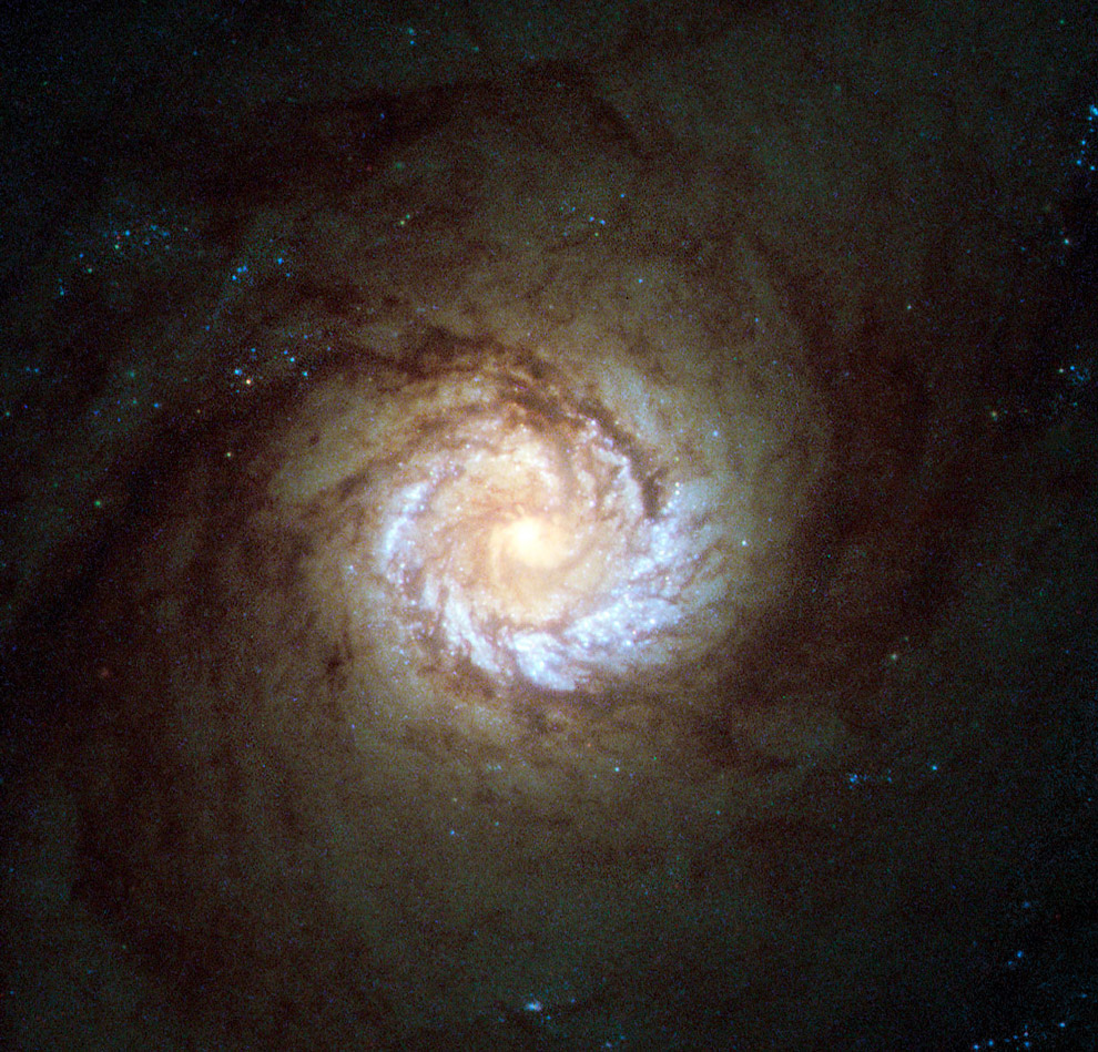 Ядро спиральной галактики М61 в созвездии Дева