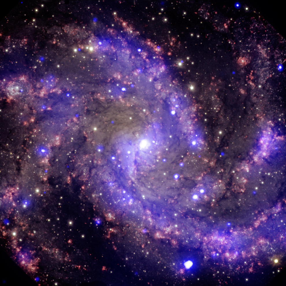 Спиральная галактика NGC 6946