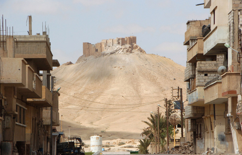 Впереди — цитадель древнего города Пальмира