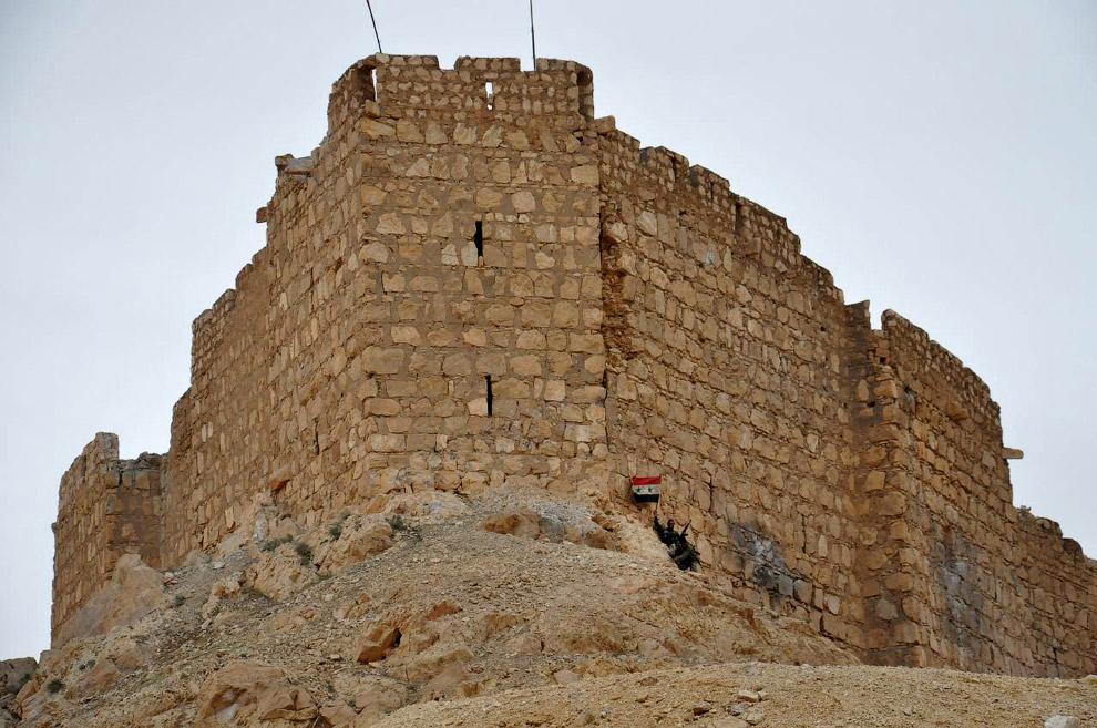 Сирийский солдат держит сирийский национальный флаг у цитадели Пальмиры