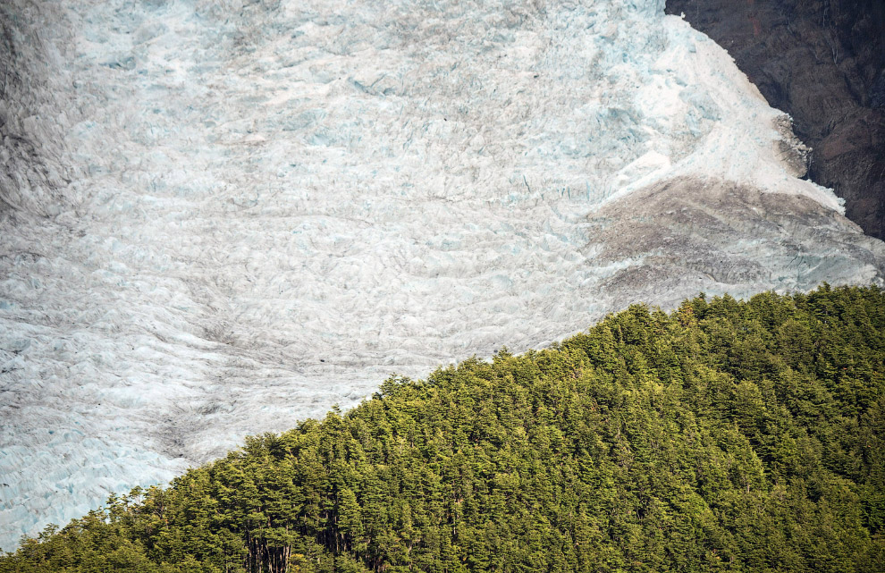 Ледник Серрано и тысячелетний лес
