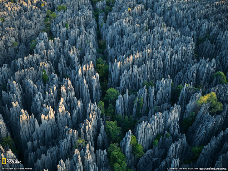 Это стоит увидеть своими глазами! Каменный лес Цинги.