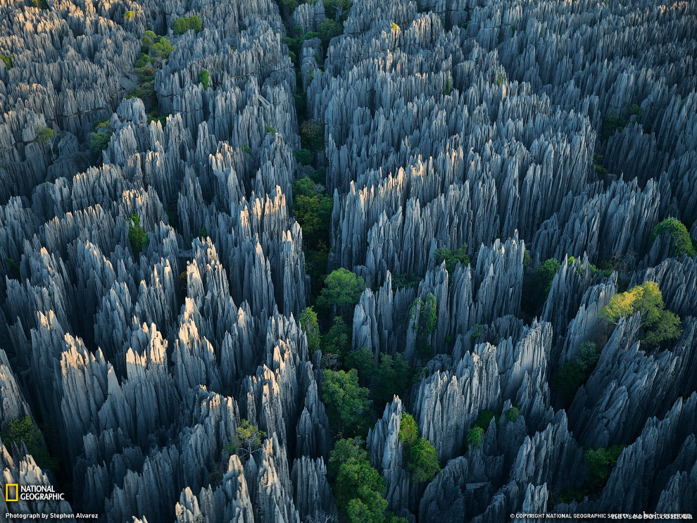 Каменный лес Цинги.