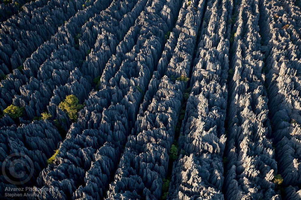 Каменный лес Цинги.
