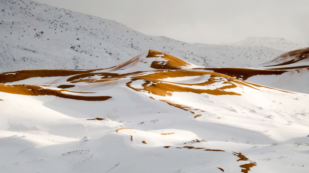 Картинки по запросу снег пустыня сахара
