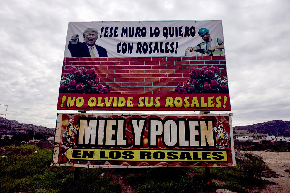Рекламный баннер с Трампом на северо-западе Мексики