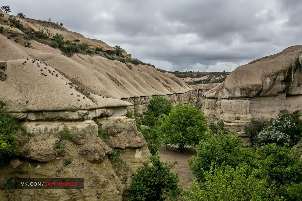Долина Голубей (Pigeon Valley) Долина Голубей (Pigeon Valley)